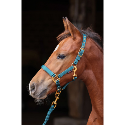 Covalliero TopLine Halter
