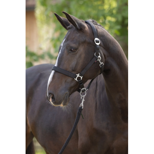 Covalliero Halter Doria
