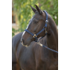 Covalliero Halter Doria