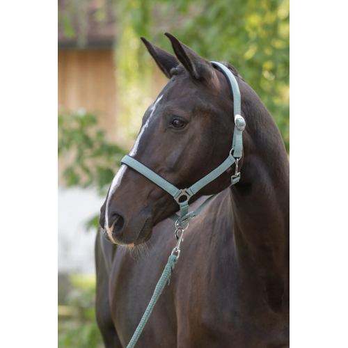 Covalliero Halter Doria