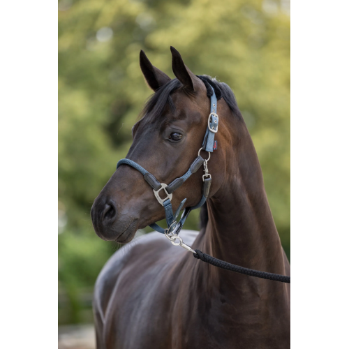 Covalliero Cordano Halter