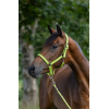 Covalliero Mustang Halter