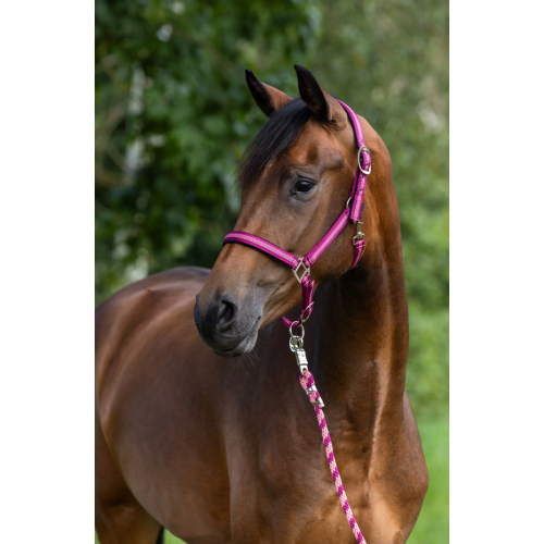 Covalliero Mustang Halter