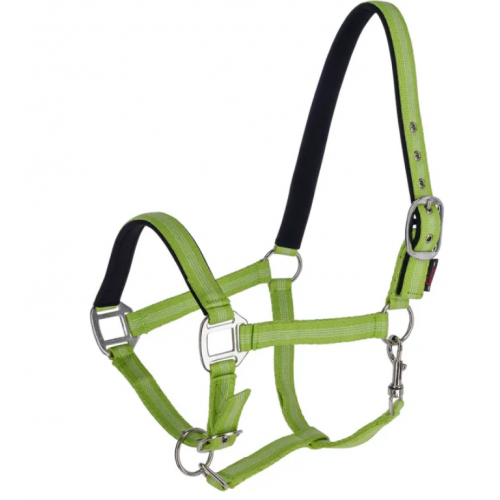 Covalliero Mustang Halter
