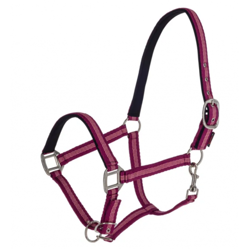 Covalliero Mustang Halter