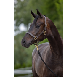 Covalliero Eco недоуздок