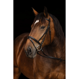 Covalliero уздечка с трензелем для Draft Horses