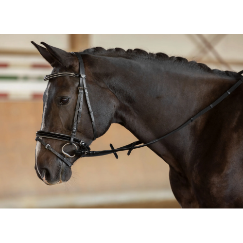 Covalliero Web Reins