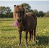QHP Paardenspeelgoed Snackcounter