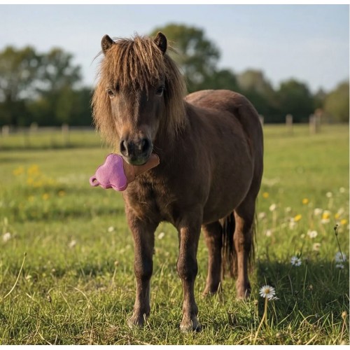 QHP Paardenspeelgoed Snackcounter