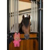 Imperial Riding Stable Buddy IRHBaby