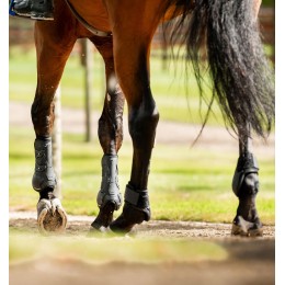 Horseware Classic задние ногавки