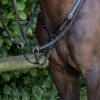 Busse Breastplate Imola II
