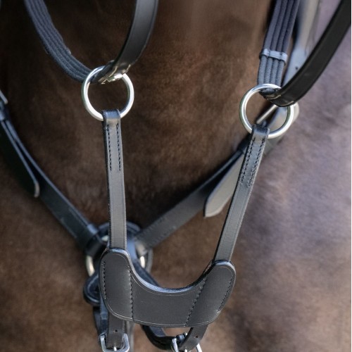 Busse Breastplate Imola II