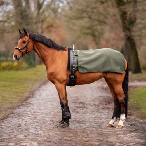 Busse Lunging Blanket 3D Air ST