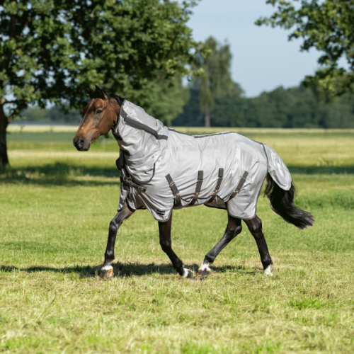 Busse Outdoor fly rug Superb AB
