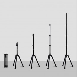 Pivo Tripod
