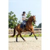 Mrs. Ros SS'24 Training Shirt By Danielle Houtvast