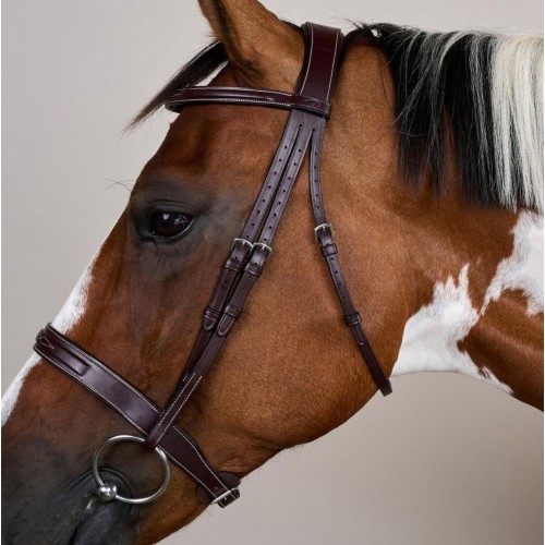 Dyon Hunter Bridle with French Noseband US Collection