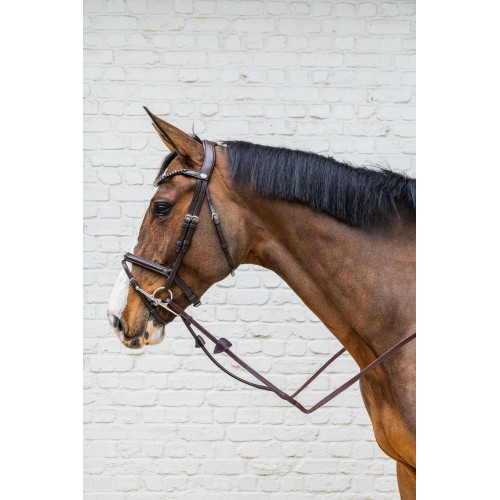 Velari Single-Jointed Full Cheek Snaffle Stainless Steel 14 mm