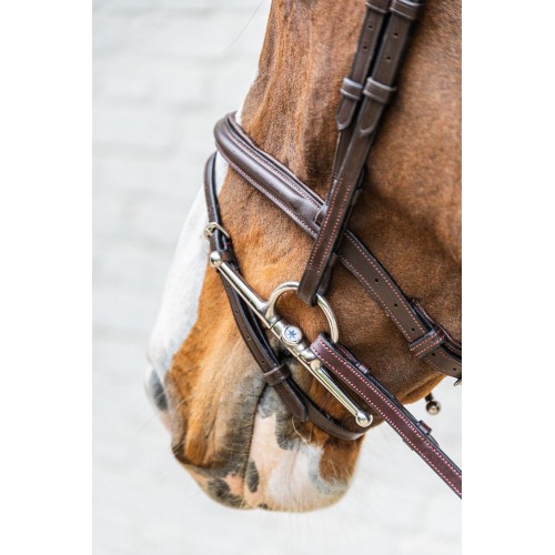 Velari Single-Jointed Full Cheek Snaffle Stainless Steel 14 mm
