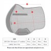 LeMieux SS26 Loire Classic GP Saddle Pad