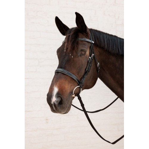 Dyon Cavesson Hunter Bridle Working Collection