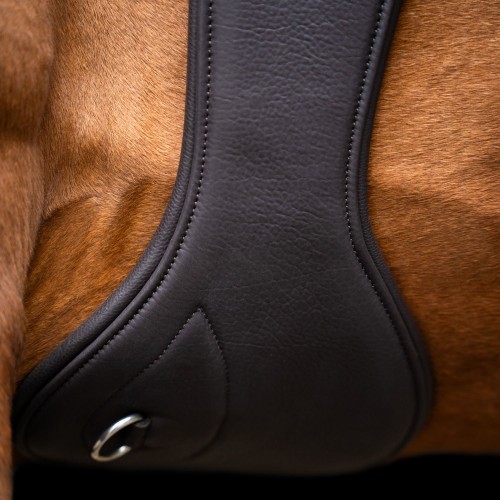 Imperial Riding Springgirth IRH anatomical with roller buckles