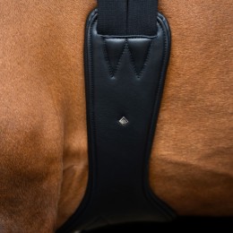 Imperial Riding Springgirth IRH anatomical с roller buckles