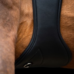 Imperial Riding Springgirth IRH anatomical с roller buckles