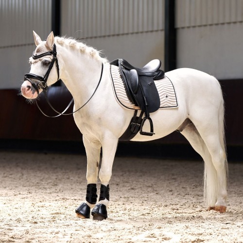 Imperial Riding FW25 Saddle Pad Rebel Dressage