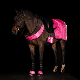 Imperial Riding нагрудник IRHReflective